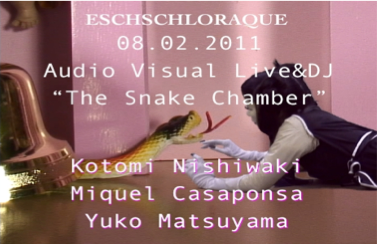 The Snake Chamber Kotomi Nishiwaki, Miquel Casaponsa, Yuko Matsuyama